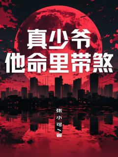 真少爷他命里带煞沈轩沈莲江风免费全章节目录阅读