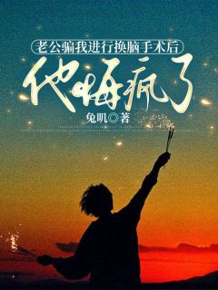 老公骗我进行换脑手术后，他悔疯了（路衍江念诗）精彩小说目录阅读