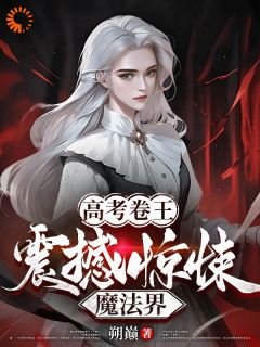 卷王穿越：我在魔法界刷题成神最新章节 林荣奥拉布奇全文阅读-暗夜阅读网