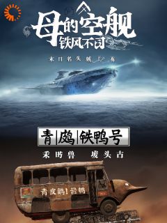 精选好书我的母舰画风不太对无删减版全文在线