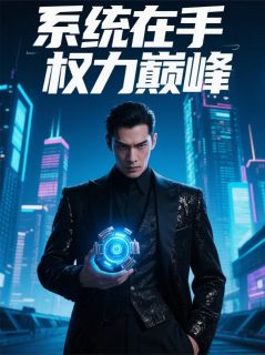 系统在手，权力巅峰by隐漫君小说完结版在线阅读