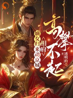 抖音嫡女归来动京城，相府高攀不起txt小说阅读