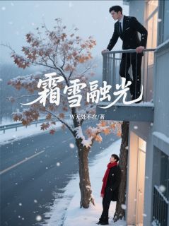 抖音爆款霜雪融光魏炎吴远无广告阅读-暗夜阅读网