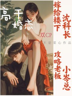老书虫推荐嫁给楼下沈科长，攻略老板小岑总 在线阅读-暗夜阅读网