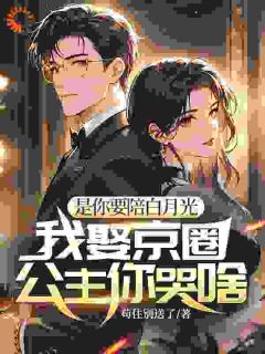 精选好书是你要陪白月光，我娶京圈公主你哭啥无删减版全文在线