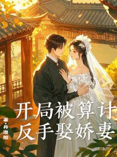 四合院：开局被算计，反手娶娇妻抖音全本小说秦明吴小曼抖音免费章节阅读