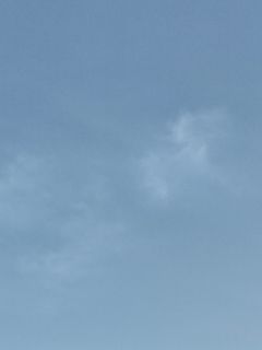 抖音小说职业骗子，骗心不骗身主角傅慎祈孟霏霏顾瑾全文小说免费阅读