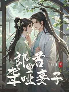 (抖音小说)陆临渊婉柔小说全文阅读免费