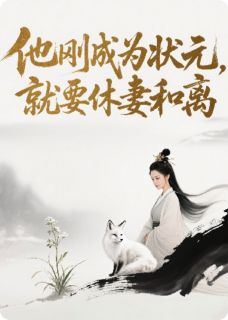 热文他刚成为状元，却要休妻和离小说-主角苏晚陆明远赵婉儿全文在线阅读-暗夜阅读网