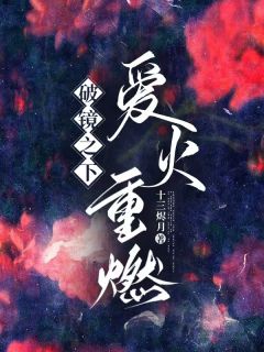 书荒必备破镜之下，爱火重燃全文章节阅读