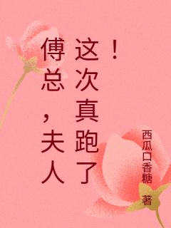 （全本）傅总，夫人这次真跑了！主角舒望傅瑾寒全文目录畅读