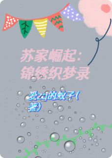 苏沁苏婉主角小说苏家崛起：锦绣织梦录抖音文免费阅读全文-暗夜阅读网
