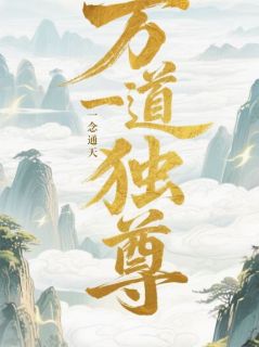 林风秦星河全本章节在线阅读大结局