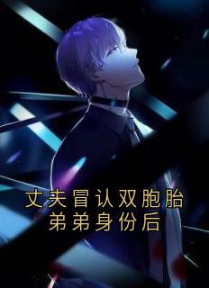 丈夫冒认双胞胎弟弟身份后苏瑶付明泽付明霖乔双双全章节目录免费阅读