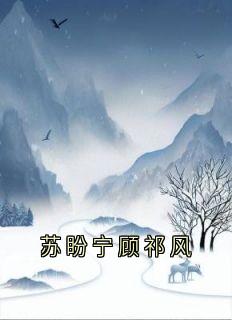 苏盼宁顾祁风主角抖音小说苏盼宁顾祁风在线阅读