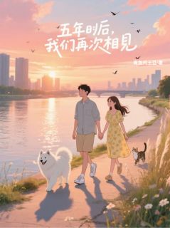 热文五年后，我们再次相见小说-主角沈昊许洛全文在线阅读