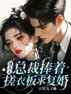 盛太太，总裁捧着搓衣板求复婚小说_盛太太，总裁捧着搓衣板求复婚小说结局阅读