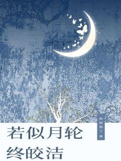 若似月轮终皎洁全集小说_沈知意傅深傅临渊完结版阅读