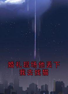 婚礼现场他丢下我去找猫是什么小说韩景柳安言全本免费阅读