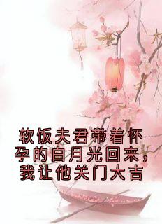 主角沈清月顾言之柳依依的小说作者佚名