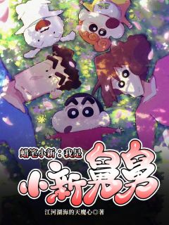 好文热推小说蜡笔小新:我是小新舅舅主角泽平小新全文在线阅读