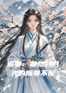 热门小说追妻：献祭白月光的魔尊不配完整版全文阅读-暗夜阅读网