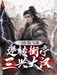 马谡诸葛亮小说抖音热文丞相我捡到个系统，能一键平A洛阳完结版