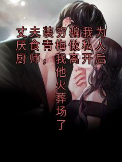 沈云霆宁昭徐苒苒小说大结局在哪看-丈夫装穷骗我为厌食青梅做私人厨师,我离开后他火葬场了完整版免费阅读