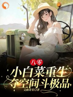 八零：小白菜重生，夺空间斗极品小说全集(叶青麦叶志海)无弹窗广告阅读