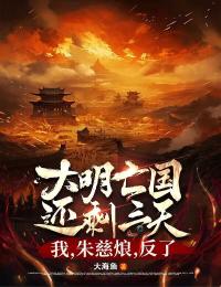 完整版大明亡国还剩三天：我，朱慈烺，反了朱慈烺宁儿小说免费在线阅读