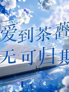 快手热推爱到荼蘼，无可归期小说主角乔念安林烬在线阅读