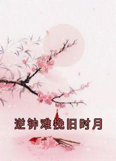 完整版逆钟难挽旧时月谢辰林素雅沈廷川小说免费在线阅读