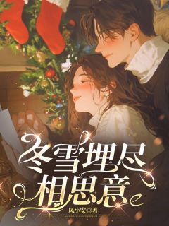 苏晚棠傅沉野小说冬雪埋尽相思意全文阅读-暗夜阅读网
