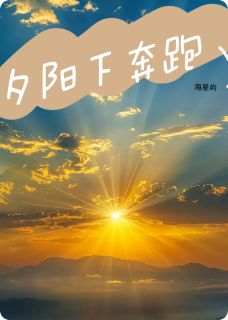 夕阳下奔跑小说(完结)-林惜江淮南无删减阅读