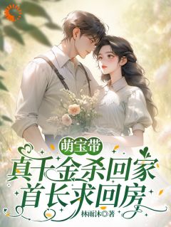 萌宝带真千金杀回家，首长求回房（叶沐琳陆昊军）精彩小说目录阅读