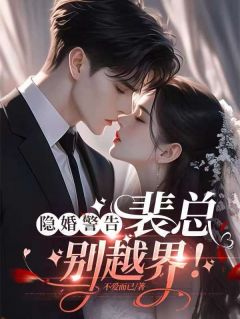隐婚警告：裴总，别越界！(漆与墨裴述)全文完整版阅读