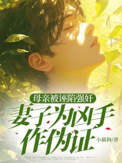 高质量小说母亲被诬陷强奸，妻子为凶手作伪证在线试读