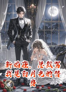 (抖音)新婚夜，总裁骂我是白月光的替身 主角苏晚意厉沉渊-暗夜阅读网