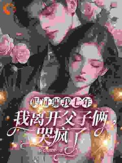 假证骗我七年,我离开父子俩哭疯了全文目录-江清沈宴津小说无弹窗阅读-暗夜阅读网