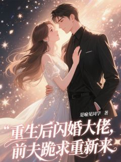 最新小说重生后闪婚大佬，前夫跪求重新来主角林晨顾梦娇江帅全文在线阅读-暗夜阅读网