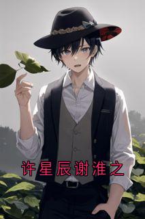 抖音爆款小说许星辰谢淮之谢淮之许星辰免费txt全文阅读