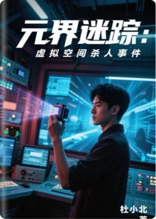 元界迷踪：虚拟空间杀人事件小说的书名是什么
