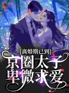 全本资源在线阅读离婚期已到！京圈太子卑微求爱沈青瓷席星野-暗夜阅读网