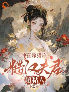 冲喜嫁猎户，糙汉夫君超黏人苏锦绣盛九昭全章节在线阅读-暗夜阅读网