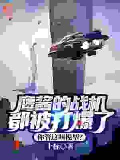 鹰酱的战机都被打爆了，你管这叫模型？快手热推楚恒熊晓彤免费阅读