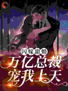爆款小说闪嫁甜婚，万亿总裁宠我上天-主角苏筱姜堰在线阅读