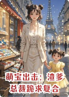 全网首发完整小说萌宝出击：渣爹总裁跪求复合主角苏晚暖暖陆景琛在线阅读-暗夜阅读网