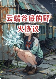 三六闲人最新小说云端谷底的野火协议陈星苏琳在线试读-暗夜阅读网