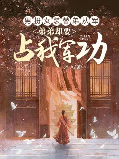 男扮女装替弟从军，弟弟却要占我军功在线全文阅读-主人公宋元赵启元周琴小说-暗夜阅读网