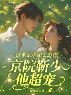 精彩小说唐嘉茵靳北章资本家小姐太彪悍，京院靳少他超宠全文目录畅读